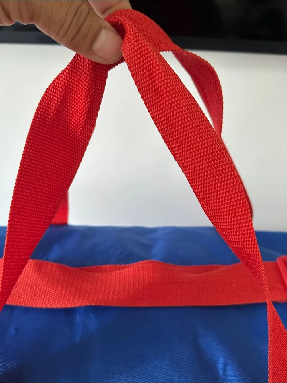 Vintage CHAMPION Duffle Bag Blue Red Spellout Gym Overnight Travel